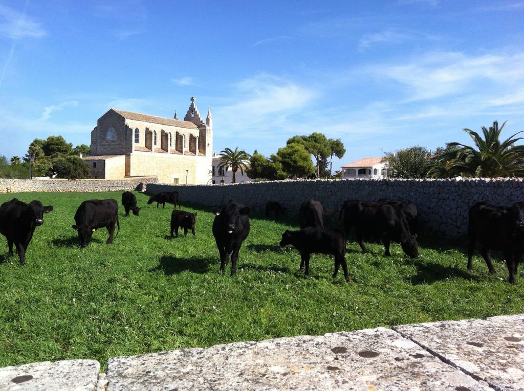 Llucmacanes Gran Agroturismo Maó  Exterior foto